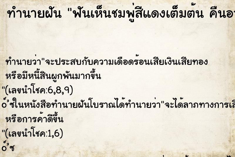 ทำนายฝัน ฟันเห็นชมพู่สีแดงเต็มต้น คืนอาทิตย์ ทำนายฝัน ฟันเห็นชมพู่สีแดงเต็มต้น คืนอาทิตย์